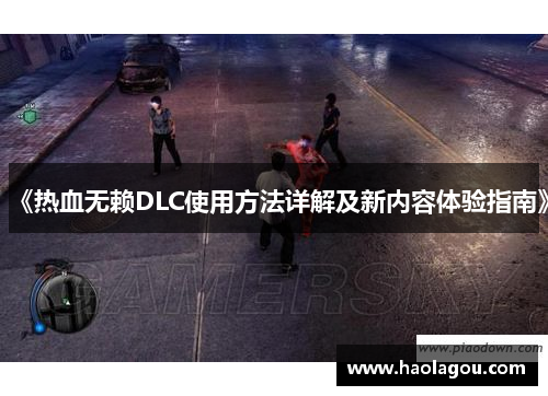 《热血无赖DLC使用方法详解及新内容体验指南》