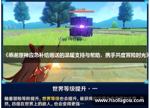 《感谢原神应急补给赠送的温暖支持与帮助，携手共度冒险时光》