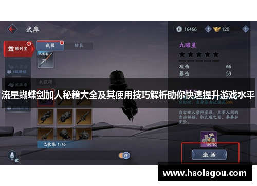 流星蝴蝶剑加人秘籍大全及其使用技巧解析助你快速提升游戏水平